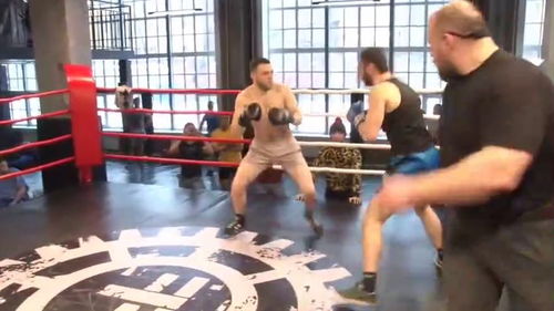 拳擊 紀律與激情之間，賽事組織如何防范比賽變斗毆