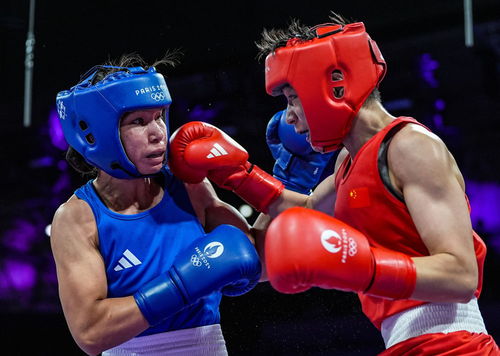 巴黎奧運(yùn)會(huì) 楊文璐晉級(jí)拳擊女子60公斤級(jí)四分之一決賽，展現(xiàn)賽事組織與競(jìng)技風(fēng)采