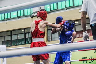 青春拳力，暖心守護——省運會青少年部拳擊賽事組織與貼心服務紀實